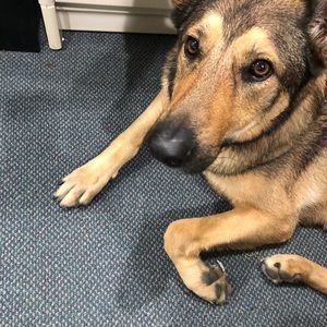 Meet your Posher, Caleb